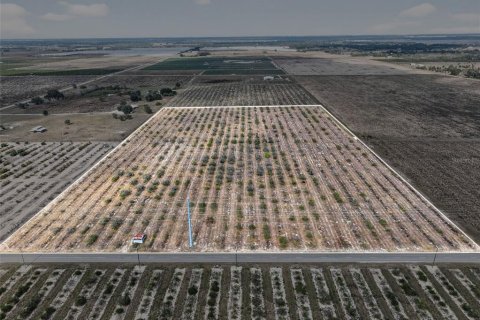 Land in Bartow, Florida № 2145498