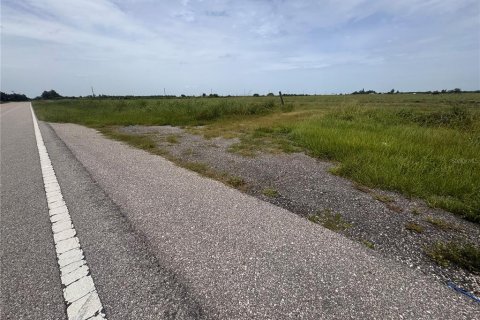 Terreno en venta en Arcadia, Florida № 1769926 - foto 2