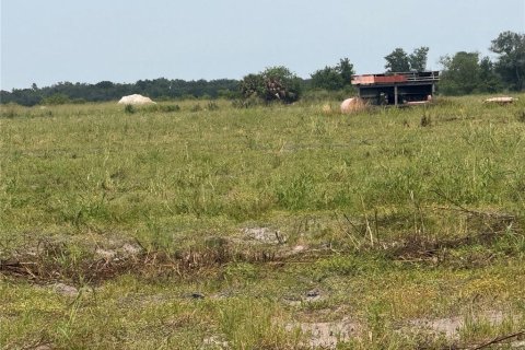Terreno en venta en Arcadia, Florida № 1769926 - foto 7