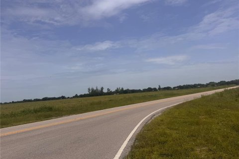 Terreno en venta en Arcadia, Florida № 1769926 - foto 6
