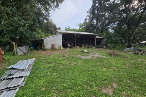 Land in Thonotosassa, Florida № 2386366 - photo 6