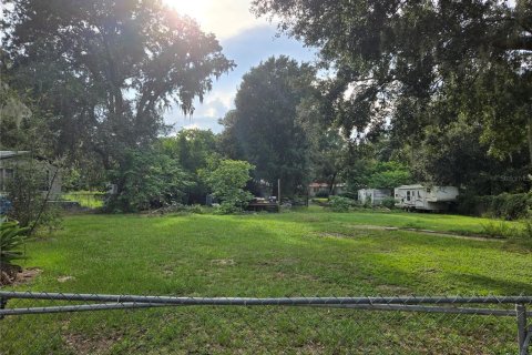Land in Thonotosassa, Florida № 2386366