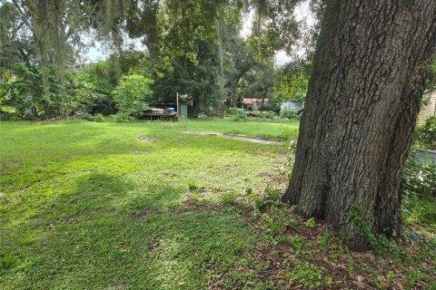 Land in Thonotosassa, Florida № 2386366 - photo 2