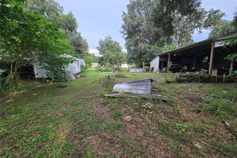 Land in Thonotosassa, Florida № 2386366 - photo 8