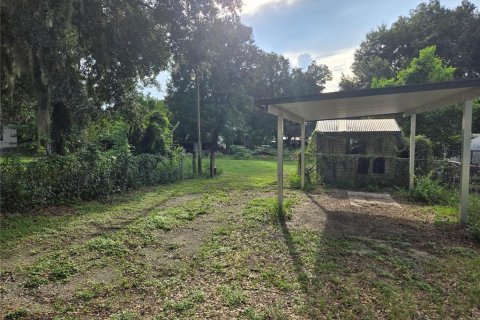 Land in Thonotosassa, Florida № 2386366 - photo 3