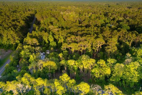Terreno en venta en Georgetown, Florida № 2159427 - foto 12