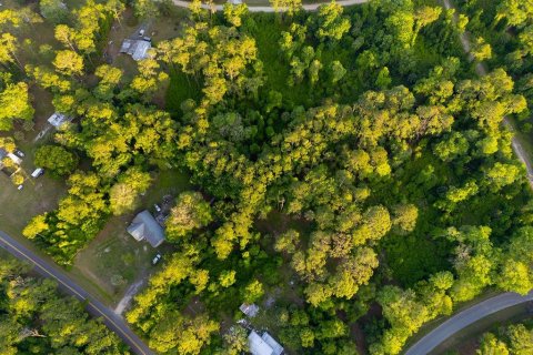 Terreno en venta en Georgetown, Florida № 2159427 - foto 2