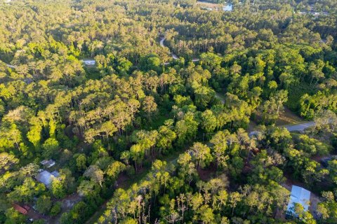 Terreno en venta en Georgetown, Florida № 2159427 - foto 9