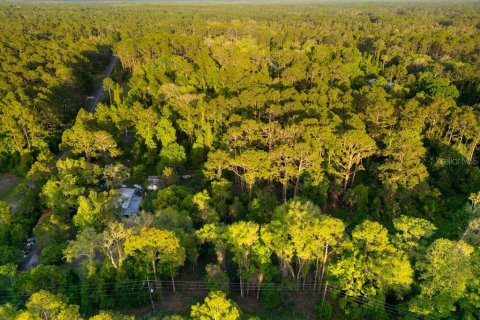 Terreno en venta en Georgetown, Florida № 2159427 - foto 7