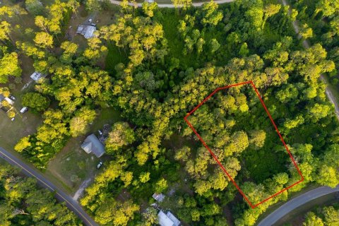 Land in Georgetown, Florida № 2159427