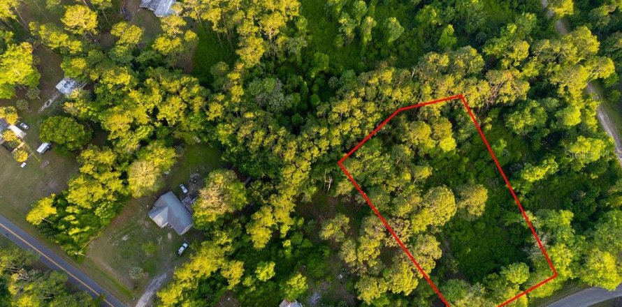 Terreno en Georgetown, Florida № 2159427