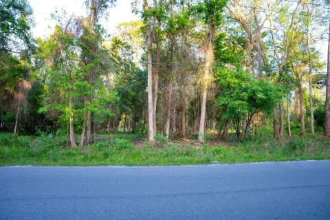 Terreno en venta en Georgetown, Florida № 2159427 - foto 3