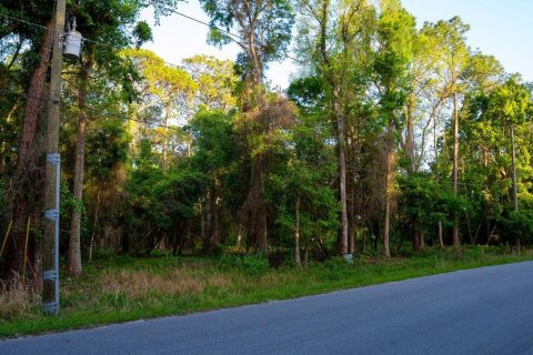 Terreno en venta en Georgetown, Florida № 2159427 - foto 5