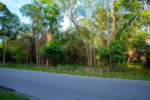 Terreno en venta en Georgetown, Florida № 2159427 - foto 4