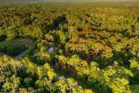 Terreno en venta en Georgetown, Florida № 2159427 - foto 10