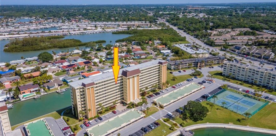 Condo à Saint Petersburg, Floride, 1 chambre  № 2091403