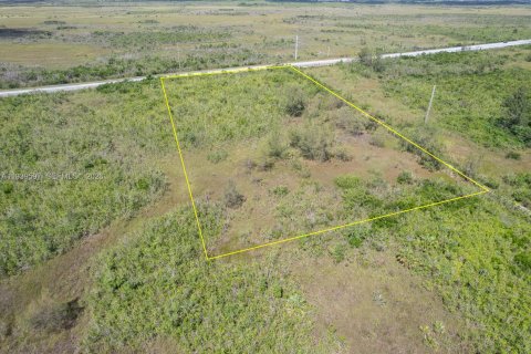 Propiedad comercial en venta en Homestead, Florida № 1998261 - foto 13