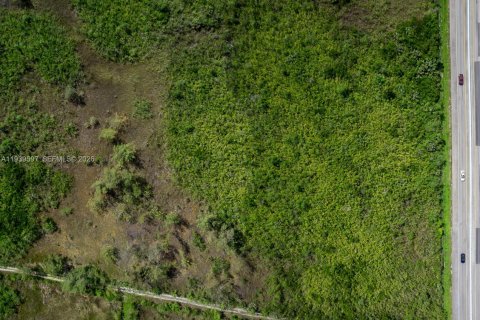 Propiedad comercial en venta en Homestead, Florida № 1998261 - foto 12