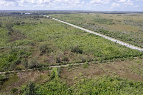 Propiedad comercial en venta en Homestead, Florida № 1998261 - foto 9