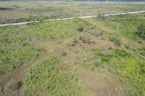 Propiedad comercial en venta en Homestead, Florida № 1998261 - foto 14