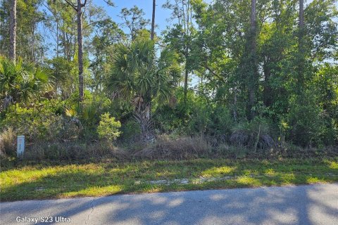 Land in Punta Gorda, Florida № 2161809