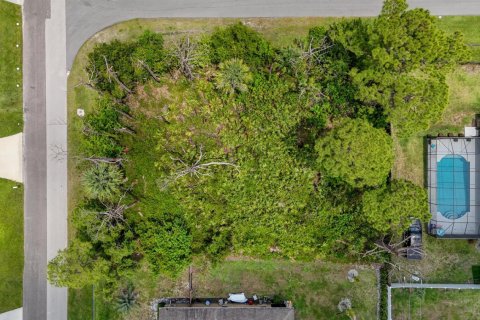 Commercial property in Port St. Lucie, Florida № 2247317 - photo 17