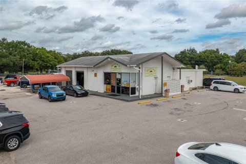 Immobilier commercial à vendre à Haines City, Floride: 334.36 m2 № 2388565 - photo 2