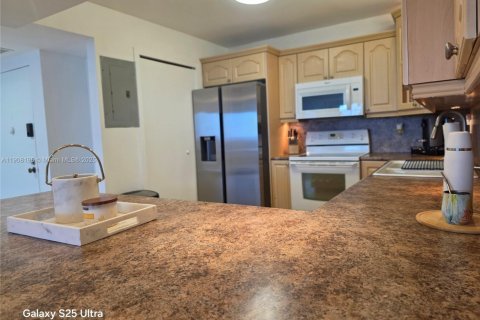 Condo in Hollywood, Florida, 2 bedrooms  № 1973636 - photo 12