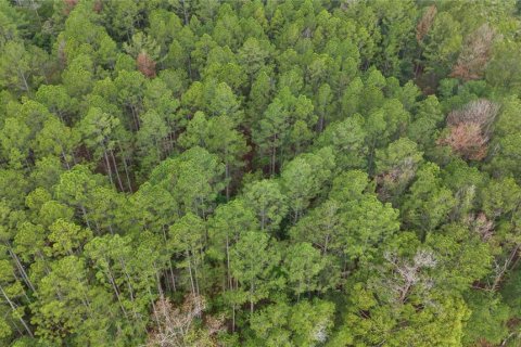 Terrain à vendre à Hawthorne, Floride № 2229945 - photo 6