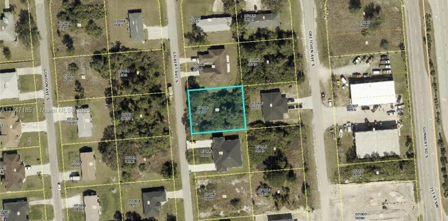 Terreno en Lehigh Acres, Florida № 1985158