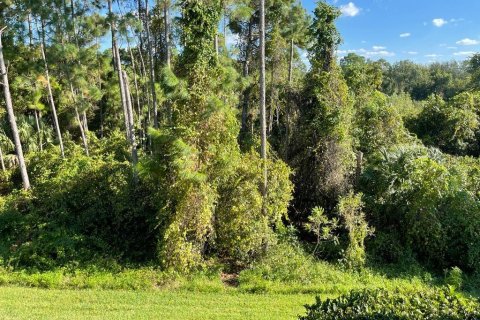 Townhouse in Orlando, Florida 3 bedrooms, 162.67 sq.m. № 2239837 - photo 15