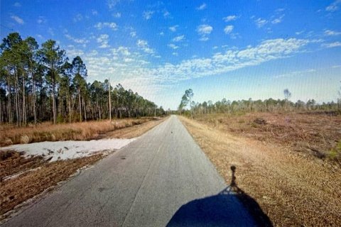 Land in Lake City, Florida № 2351549