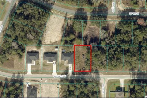 Land in Ocala, Florida № 1716975 - photo 1