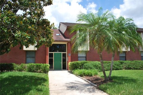 Condo in Oldsmar, Florida, 3 bedrooms  № 2209714