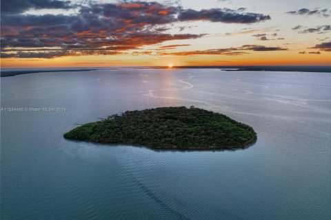 Land in Key Largo, Florida № 1697109 - photo 29