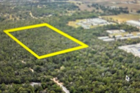 Terreno en Ocala, Florida № 2151343