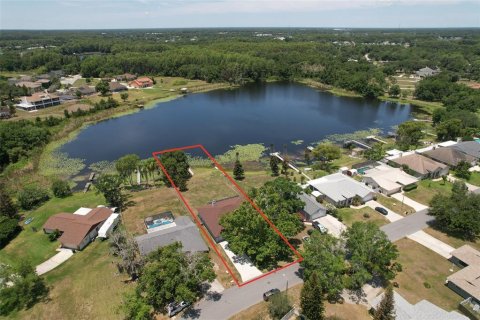 House in Land O' Lakes, Florida 3 bedrooms, 148.09 sq.m. № 2107794 - photo 4
