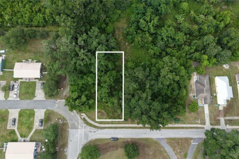 Land in Chiefland, Florida № 2221227