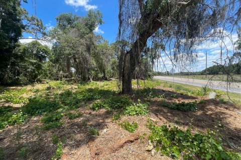 Land in Umatilla, Florida № 2213599 - photo 2