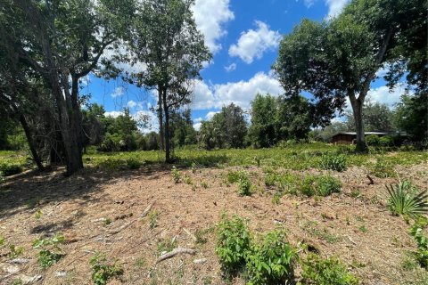 Land in Umatilla, Florida № 2213599
