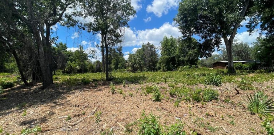 Land in Umatilla, Florida № 2213599