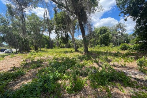 Land in Umatilla, Florida № 2213599 - photo 4