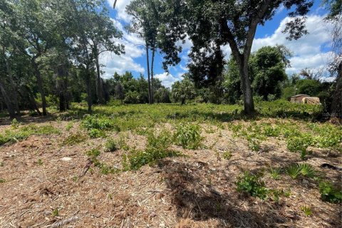 Land in Umatilla, Florida № 2213599 - photo 3
