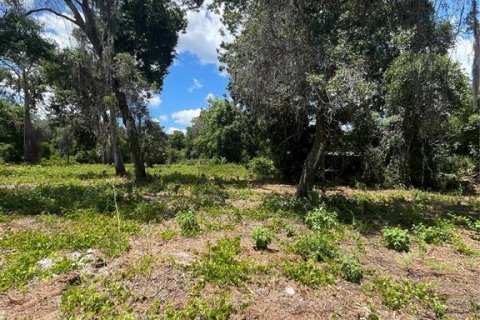 Land in Umatilla, Florida № 2213599 - photo 5
