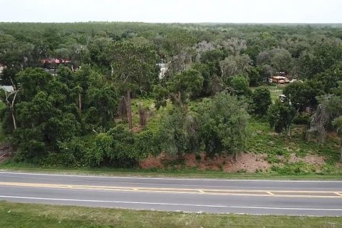Land in Umatilla, Florida № 2213599 - photo 8