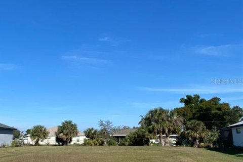 Terrain à vendre à Punta Gorda, Floride № 1566407 - photo 4