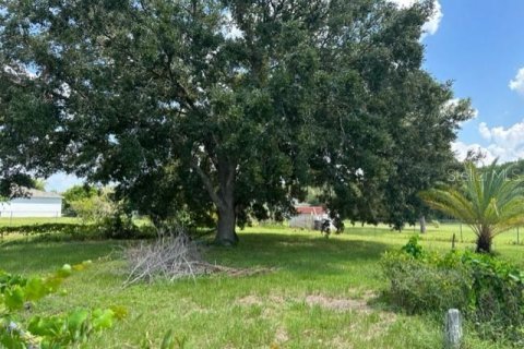 Land in Kissimmee, Florida № 1835987 - photo 5
