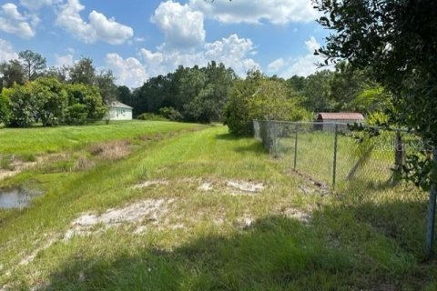 Land in Kissimmee, Florida № 1835987 - photo 8
