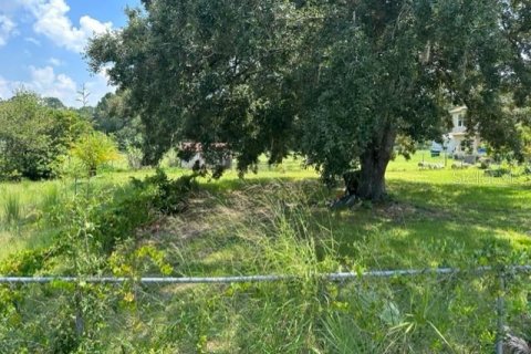 Land in Kissimmee, Florida № 1835987 - photo 7