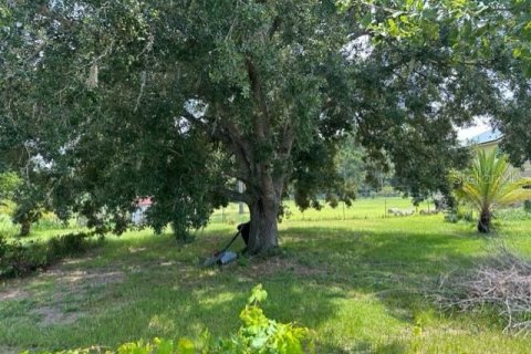 Land in Kissimmee, Florida № 1835987 - photo 6